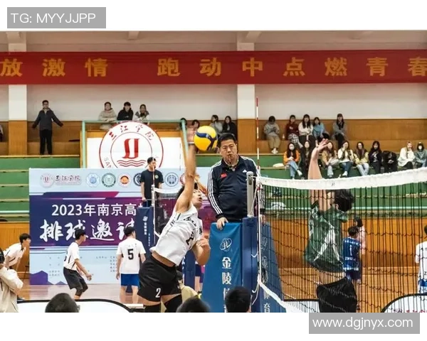 南京排球队的转型之路：从传统到现代的全面革新探索